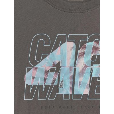 6. Men's regular printed T-shirt 4F 4FRSS26TTSHM4295-22S