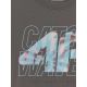 6. Men's regular printed T-shirt 4F 4FRSS26TTSHM4295-22S