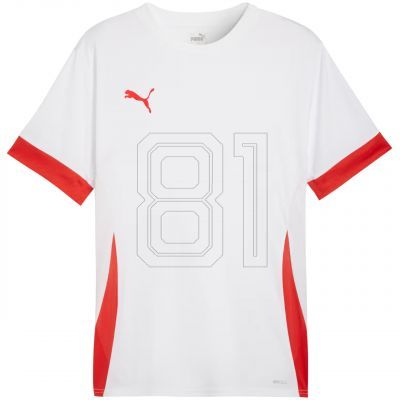 Puma teamGoal Matchday Jersey M 705747 11