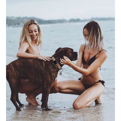 4. Apple AirTag Silicone Case for Dog or Cat Collar - Black