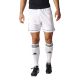 6. Adidas Squadra 17 M BJ9227 football shorts