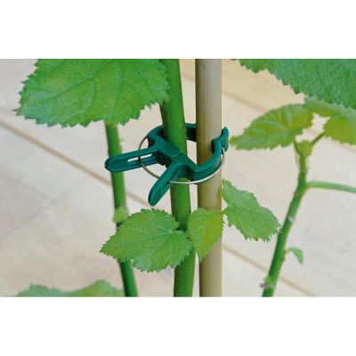 27. PLANT CLIPS 20 PCS KINZO