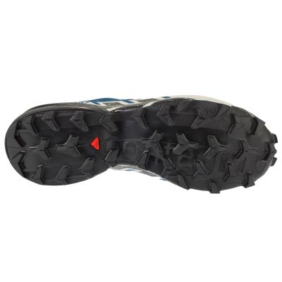 4. Salomon Speedcross 6 GTX L47764900 Blue 41 1/3