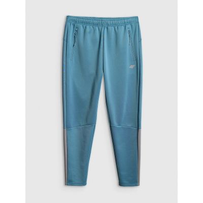 8. Men's quick-drying training pants 4F 4FRSS26TFTRM1412-32S