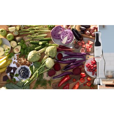 2. BOSCH MSM 4W210 Hand Blender