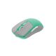 5. Fury Tanto T4 Wireless Gaming Mouse 12000DPI Mint