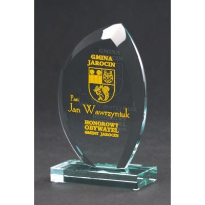 6. Engraved glass trophy with case + paint filling