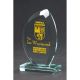 6. Engraved glass trophy with case + paint filling