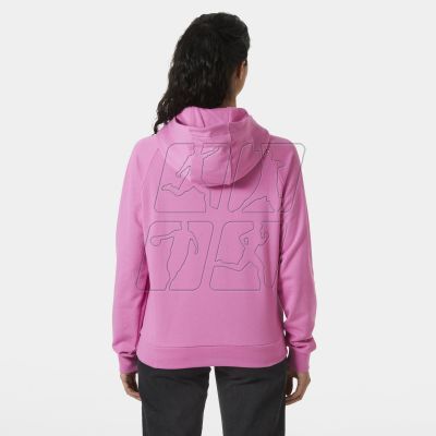 6. Helly Hansen Core Graphic Hoodie W 54239 089