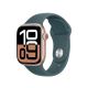 2. Apple Watch Sport Band 42mm Marine (M/L) Seegrün