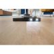 15. Philips Performer LED 8000 Series bagged vacuum cleaner with TriActive technology, model XD8142/12, 900W power