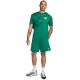 7. Men's Nike Club Green Shorts FQ4359 365