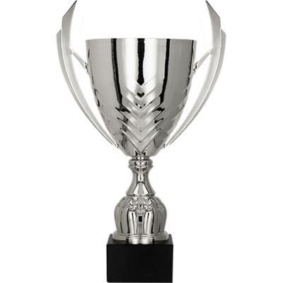 3. Silver metal cup