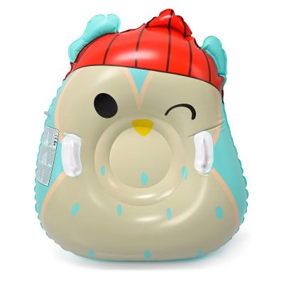 17. Meteor Owl Snow Slide 16765