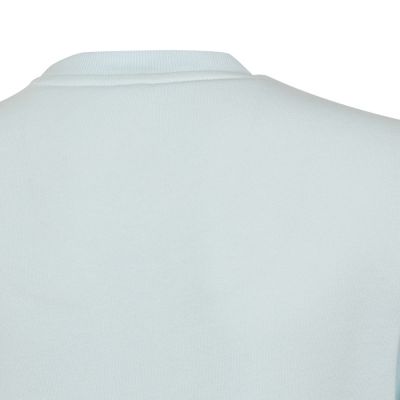 5. Adidas Big Logo Swt Jr HM8707 sweatshirt