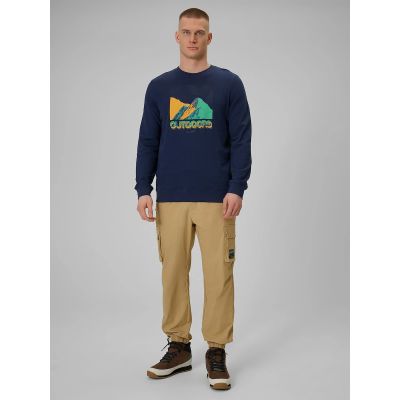 3. Longsleeve with print for men 4F 4FRAW25TLONM618-31S