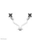 2. Neomounts DS70S-950WH2 Monitor Holder/Stand 88.9 cm (35") Desk White