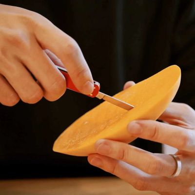 6. NexTool Mini Pocket Knife NE0142 4-in-1 Red