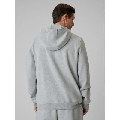 2. Men's regular hooded sweatshirt 4F 4FRSS26TSWSM2975-20S
