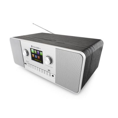 4. GoGen IR 257 BTDAB Digital Internet Silver