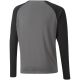 4. Puma teamPacer GK LS Jersey Jr 704939 43