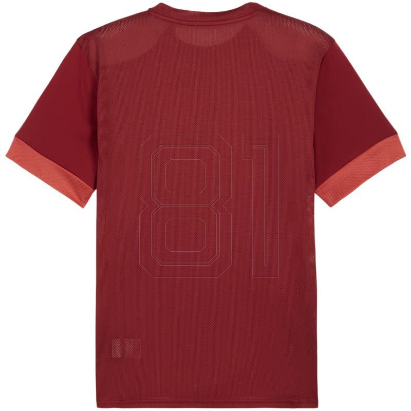 2. Puma teamGoal Matchday Jersey men's burgundy 705747 09