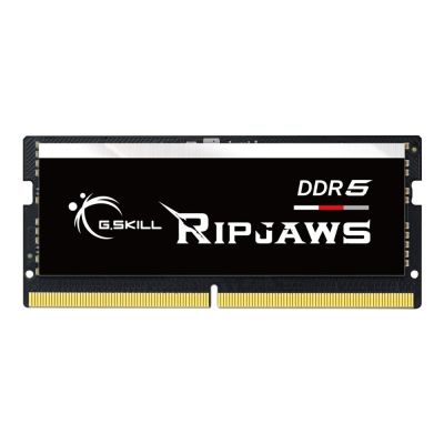 4. G.Skill Ripjaws F5-4800S4039A16GX1-RS Memory Module 16GB 1 x 16GB DDR5 262-pin SO-DIMM