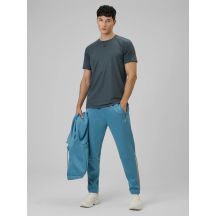 Men's quick-drying training pants 4F 4FRSS26TFTRM1412-32S
