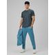 Men's quick-drying training pants 4F 4FRSS26TFTRM1412-32S