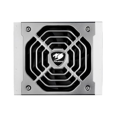 3. COUGAR Platinum Efficiency Polar1050 Power Supply
