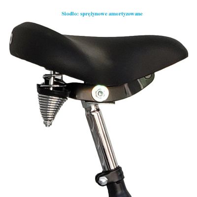 4. 3-WHEEL BIKE 24 INCHES BLACK 1-SPEED