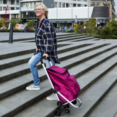 6. Expert Premium 604352 Shopping Cart