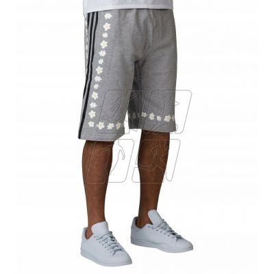 3. adidas Originals Shorts Williams M AO2997