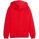 4. Puma teamGoal Casuals Hooded kids' sweatshirt red 658596 01
