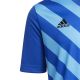 13. adidas Entrada 22 Graphic Jersey Jr HF0130