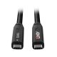2. Lindy 43333 USB Cable USB 3.2 Gen 1 (3.1 Gen 1) 10m USB C Black
