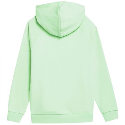 2. 4F Jr sweatshirt 4FJSS23TSWSM220 42S