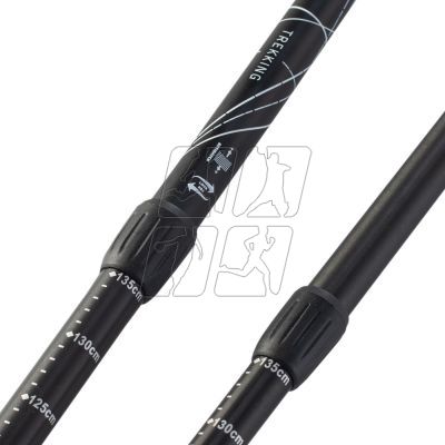 4. Martes Taurus 92800430421 trekking poles