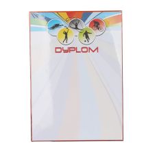 Diploma 25 pcs.