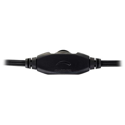 4. Esperanza EH102 headphones (black)