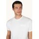 3. Paul&Shark men's cotton T-shirt light ecru 26411038-108 - classic cut, logo