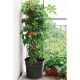 9. TOMATO PLANTING POT WITH LADDER, CAPACITY 28L
