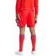 8. adidas Tiro 24 M IT2416 shorts