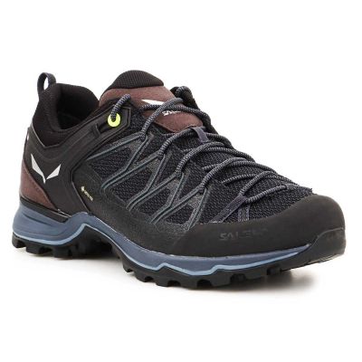 Salewa Mtn Trainer Lite GTX M 61361-0971 shoes