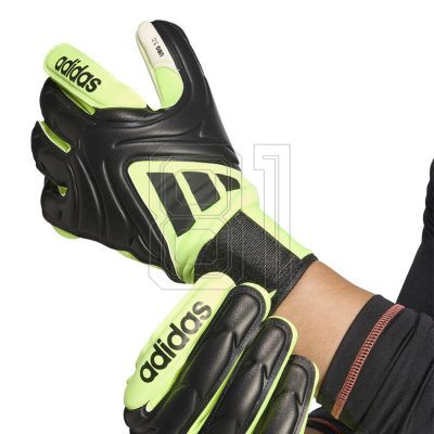 2. adidas Copa GL LGE JN5344 Gloves