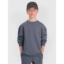 4F JUNIOR sweatshirt 4FJRAW25TSWSM2448-22S