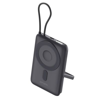 2. 4smarts Enterprise Pocket Wireless Powerbank Space Gray