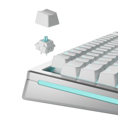 2. Glorious Gaming GLO-KB-ACC-SWT-LYNX-LUBED-36 no category