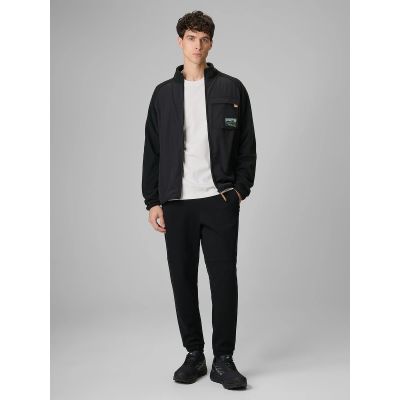 Men's jogger sweatpants 4F 4FRAW25TTROM1691-20S