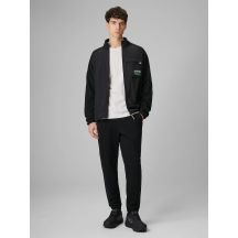 Men's jogger sweatpants 4F 4FRAW25TTROM1691-20S